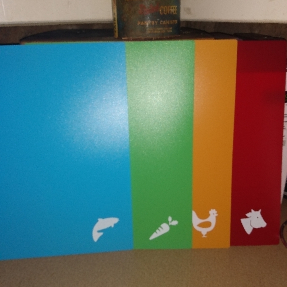 Set Of 4 Plastic Cutting Boards